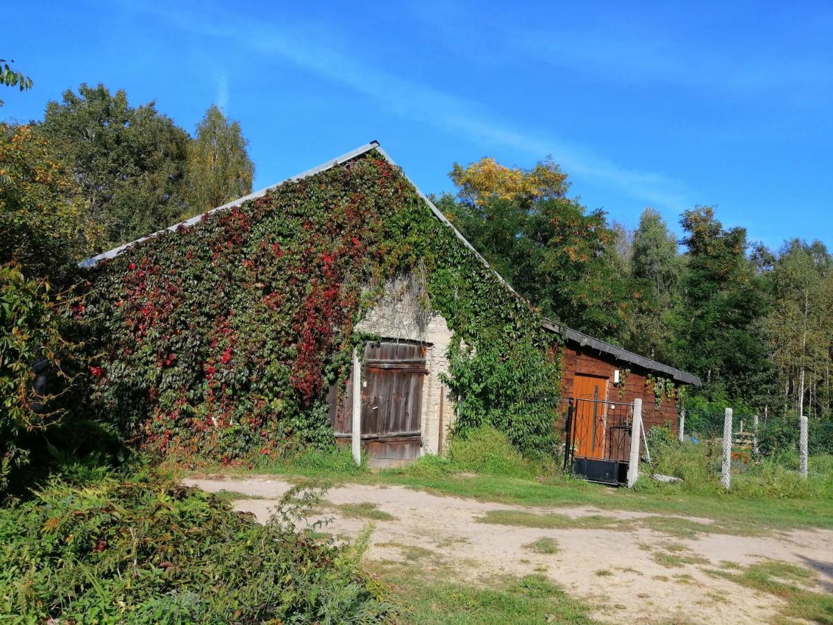 Agroturystyka Pod Dobrymi Skrzydlami Wiski Exterior foto
